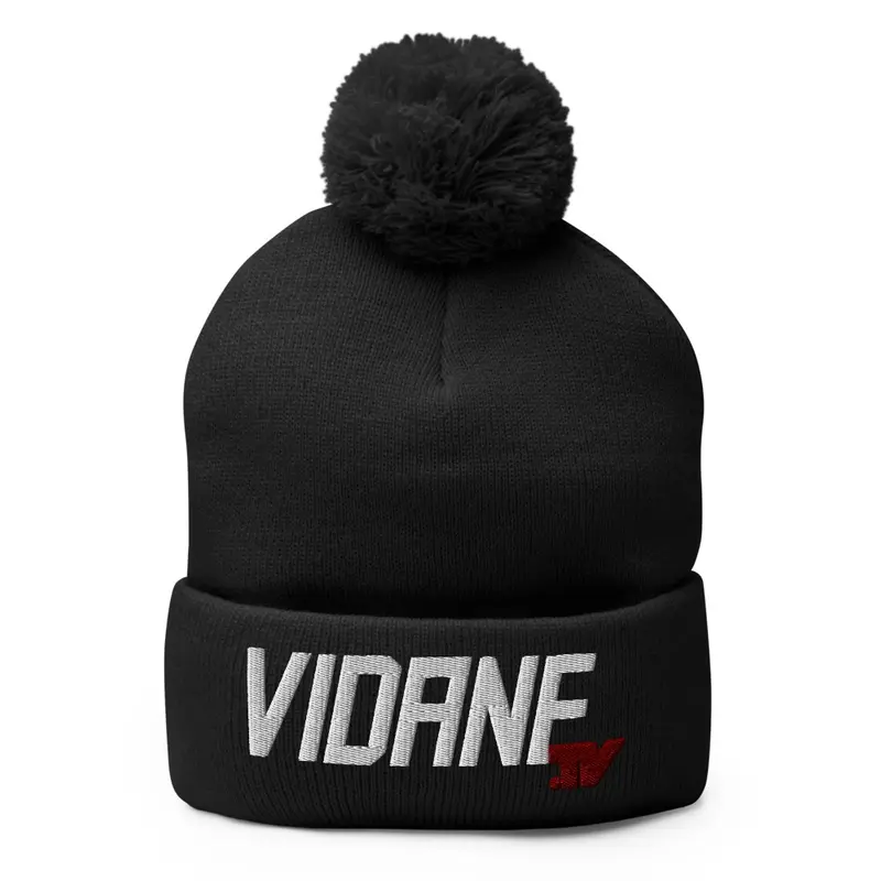 VidaneTV Beanie